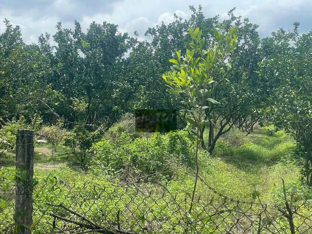 MUỐN BÁN ĐẤT 1236M2 GIÁ CHỈ 350TR VIEW THOÁNG MÁT