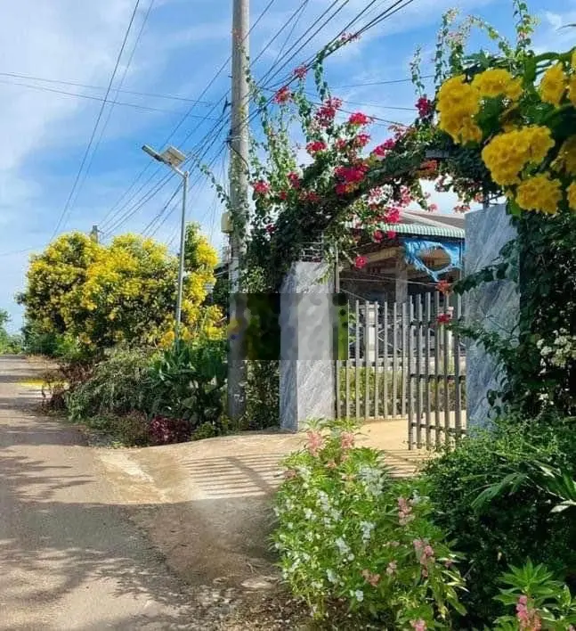 3200m2 vườn mít, sổ hồng riêng , xây tường giữ vườn + nhà nhỏ