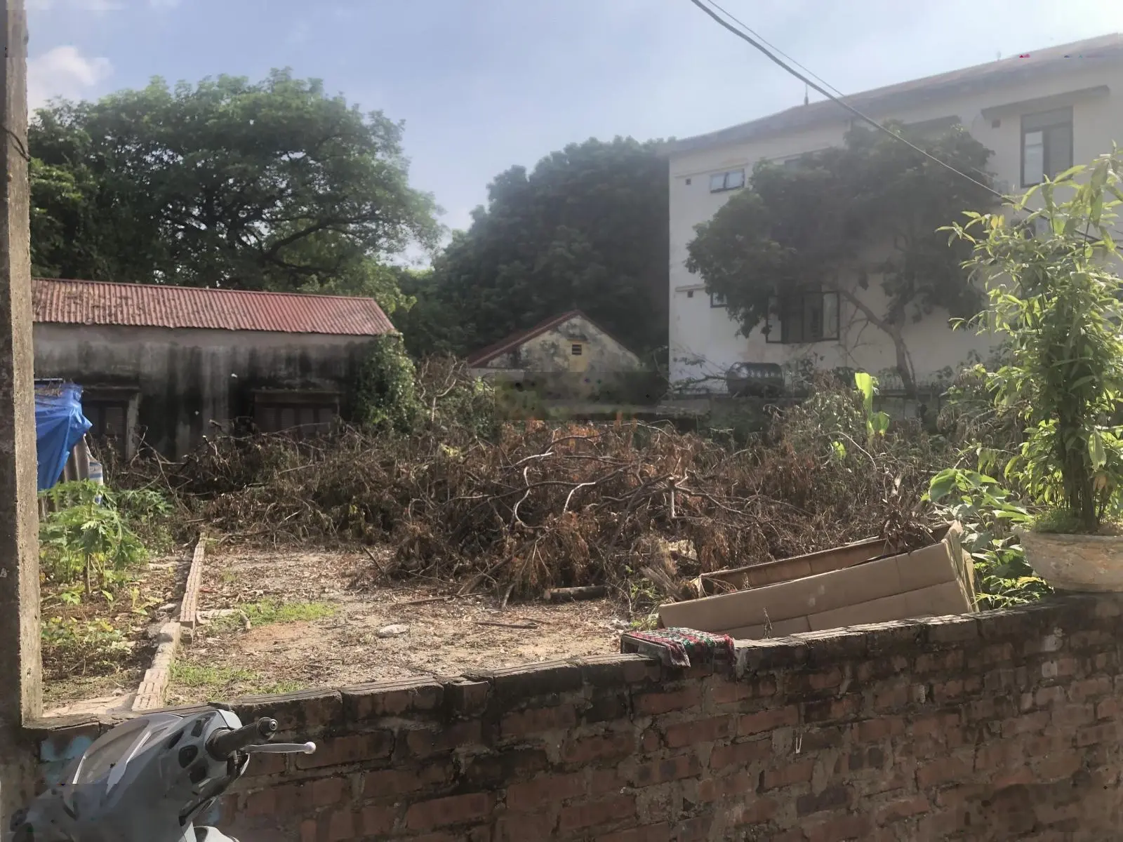 47m2 đất Phượng Đồng Phụng Châu, đường to thông ôtô, cách đường nhựa chỉ 150m, giá 2.2 tỷ