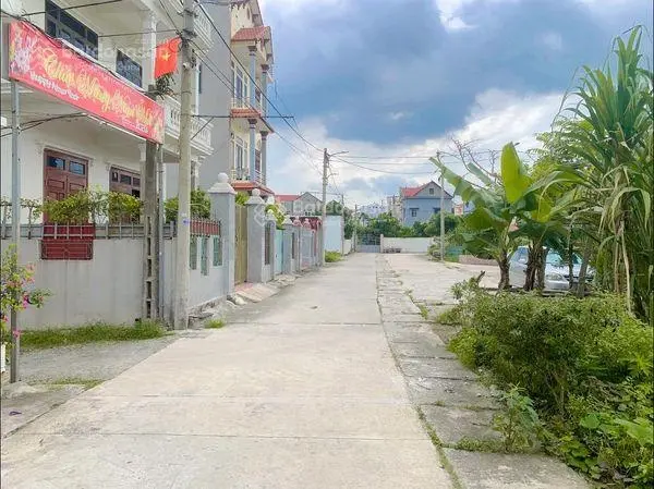 Chính chủ gửi bán 76m2 đất bìa làng thôn Đồng, Nguyên Khê, Đông Anh, Hà Nội