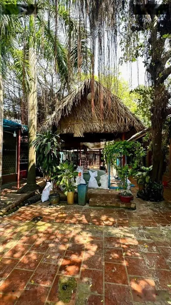 Bán nhà mặt tiền kinh doanh đa ngành hiếm - Nguyễn Thị Thập, Quận 7 - 628m2 (8/20 x 46) 68 tỷ