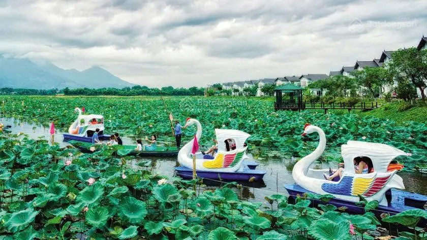 Bán Biệt thự Vườn vua Resort - Sẵn sổ - Oto đỗ cửa - khai thác dòng tiền 100tr/tháng