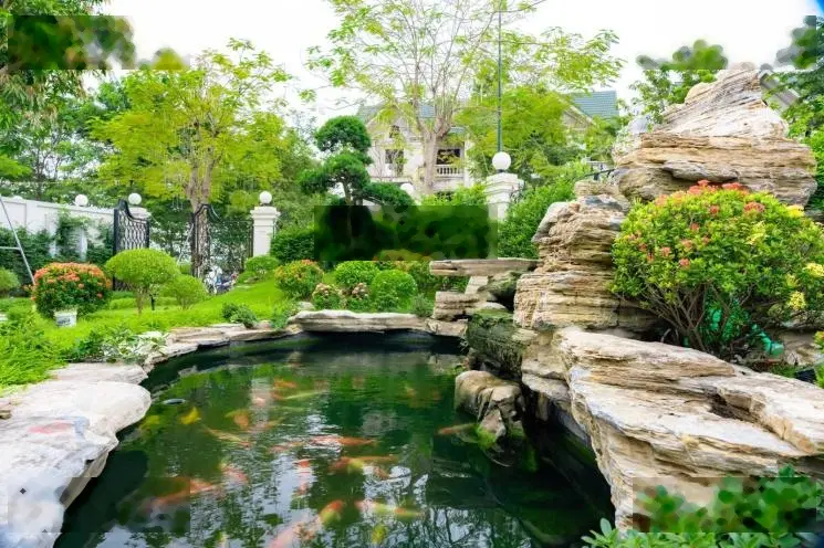 Bán BT áp góc, 2 mặt tiền Kita view công viên, mặt đường lớn giá chỉ 4x tỷ rẻ hơn cả Đông Anh