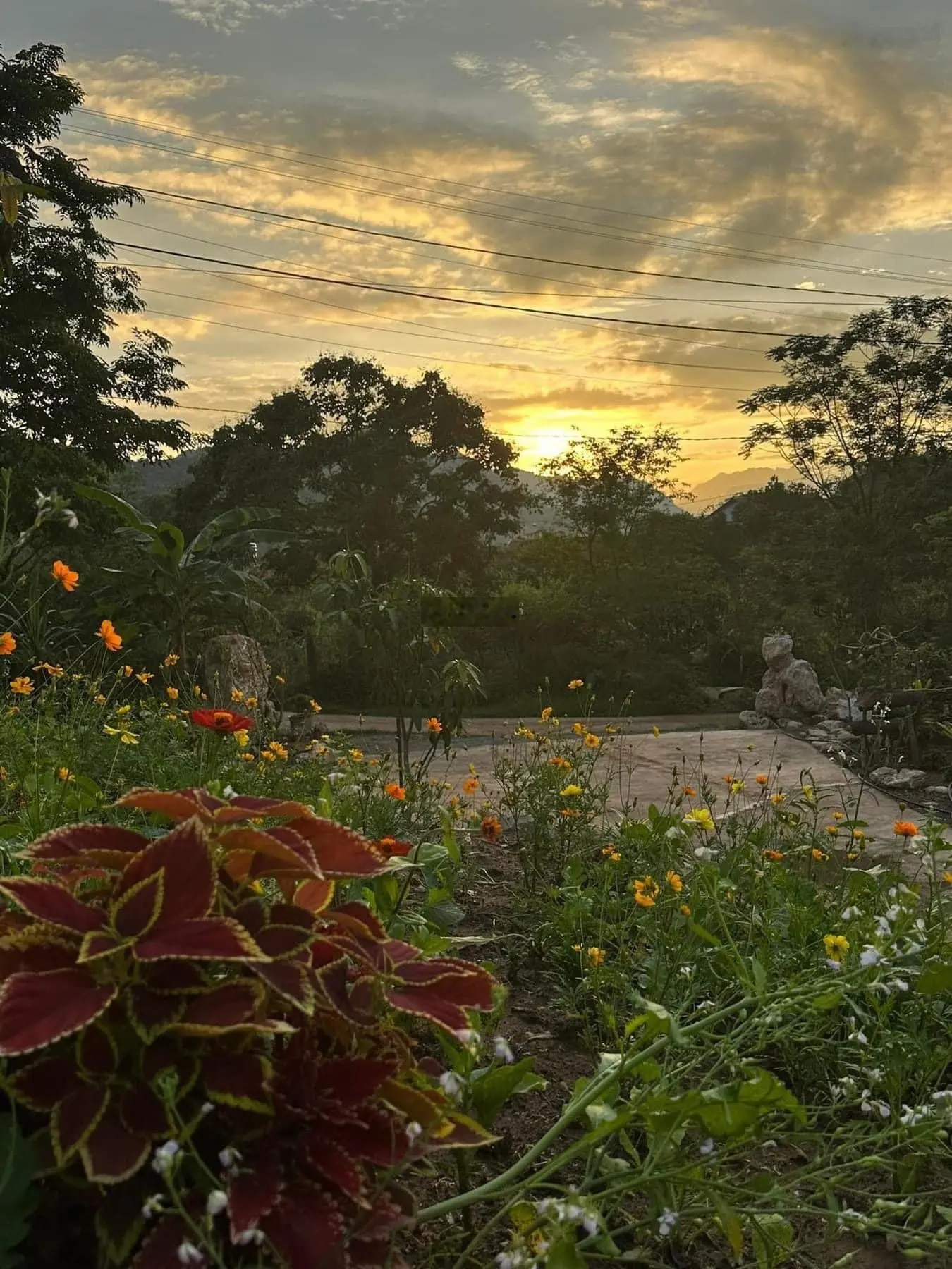 Bán Homestay xinh đẹp có 5 căn bungalow 2 nhà đất kiểu Mông đang kinh doanh hiệu quả