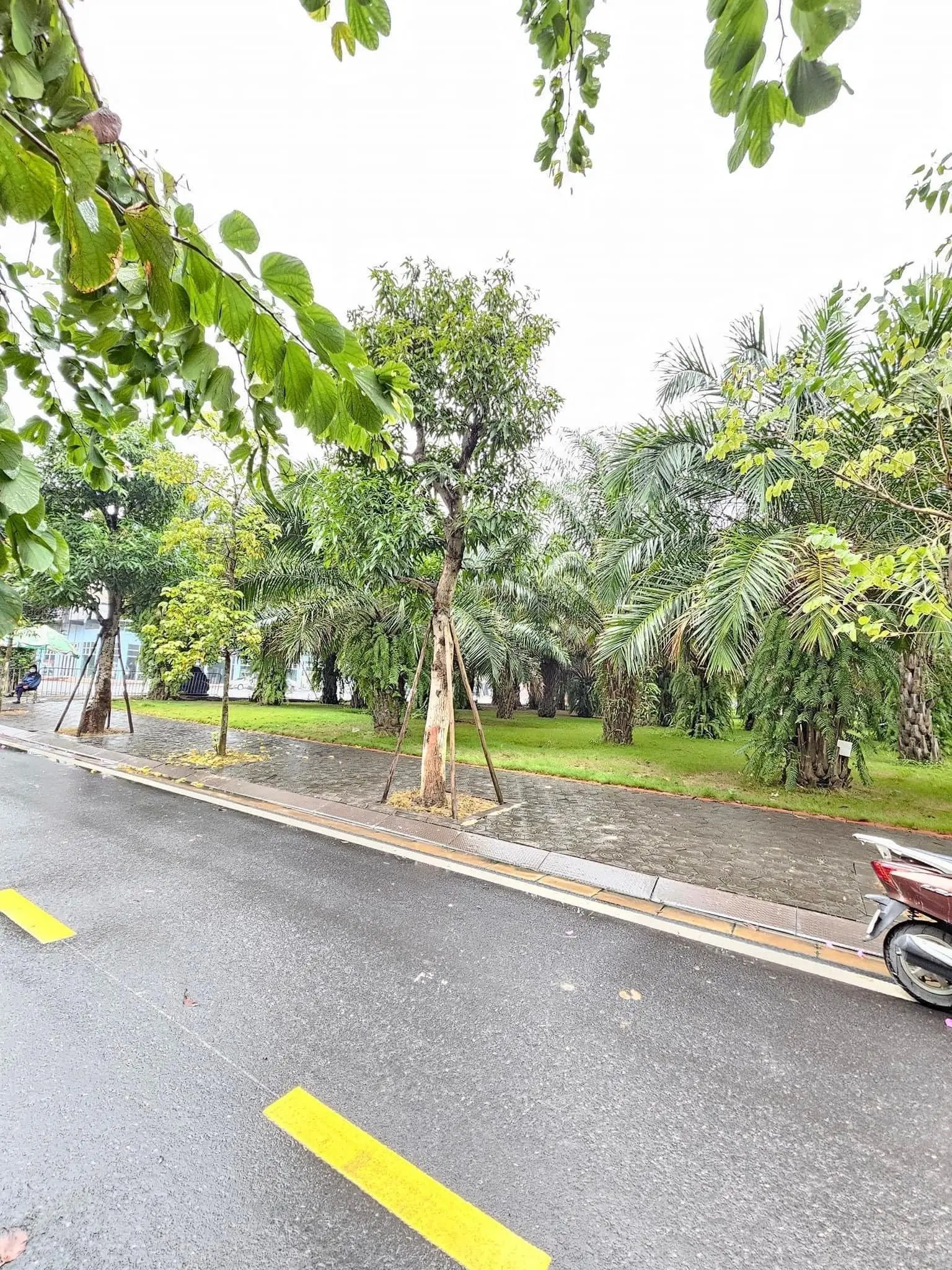 Bán căn lk ecopark Hải dương giá 6,x tỷ, 90m view công viên thoáng mát. liên hệ em nga 0912 026 ***
