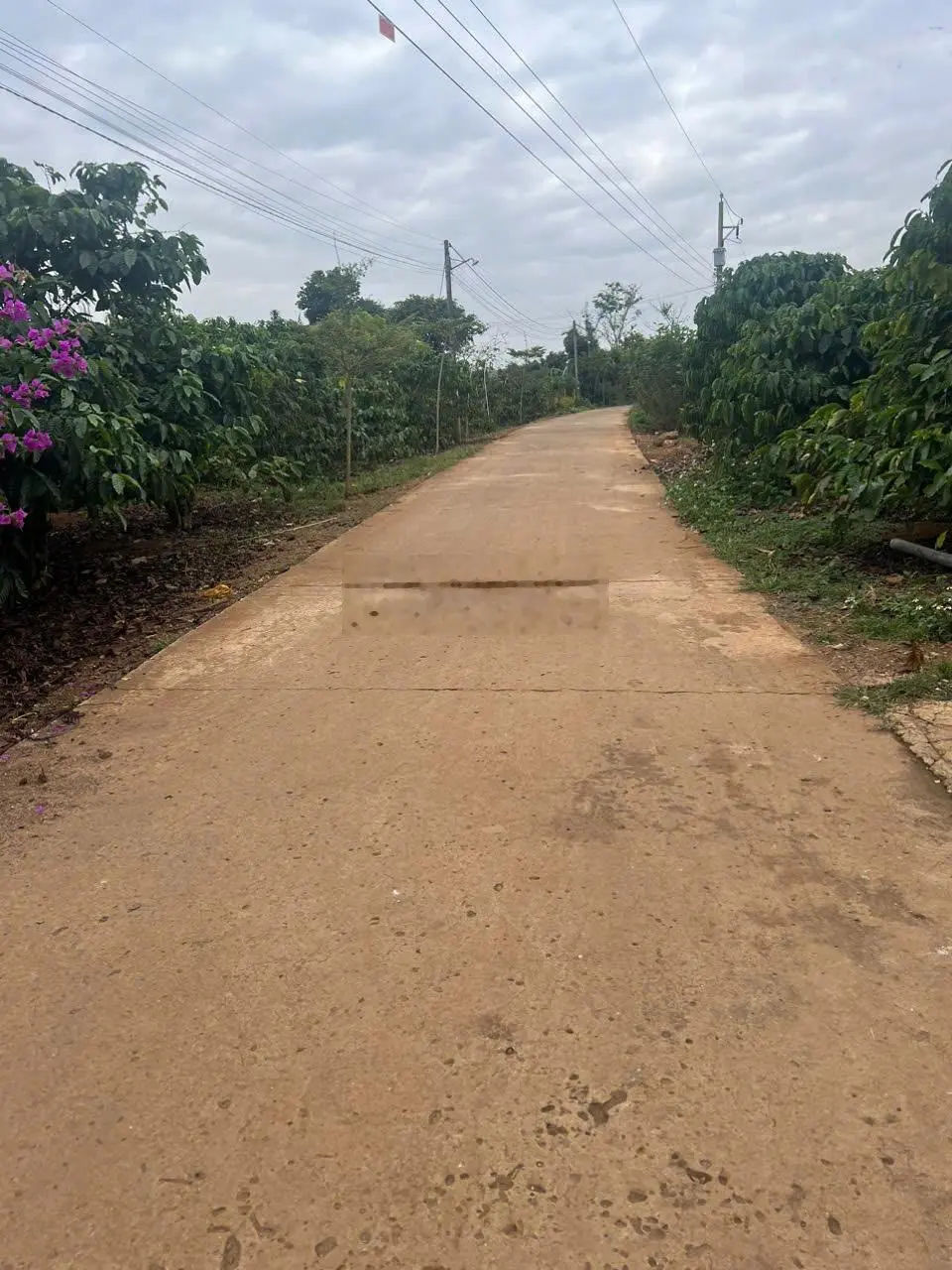 Bán căn nhà nghỉ dưỡng sân vườn 995m2 đầy đủ tiện nghi về sân bay Liên Khương chỉ 9km, chỉ 3,7 tỉ