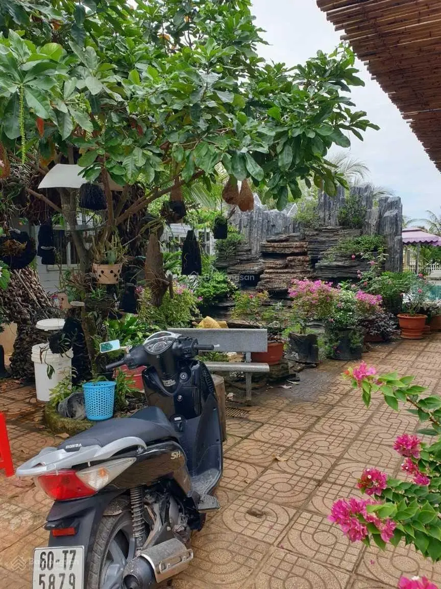 CẦN SANG NHƯỢNG HOMESTAY HỒ TRÀM 1022m2