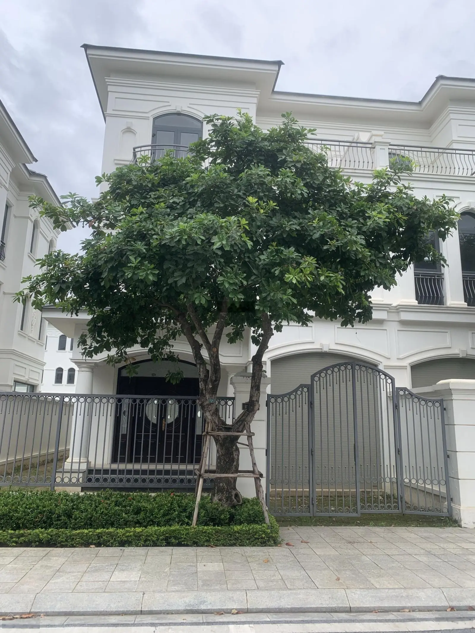 Tại sao nên mua Vinhomes Star City thời điểm này?