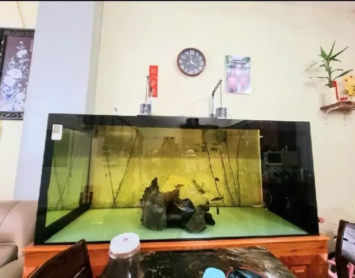 BÁN NHÀ nở hậu Mễ Trì, đường rộng thênh thang, ôtô tải tránh nhau. 50m, 5 tầng, MT: 5,3m. Hơn 11tỷ
