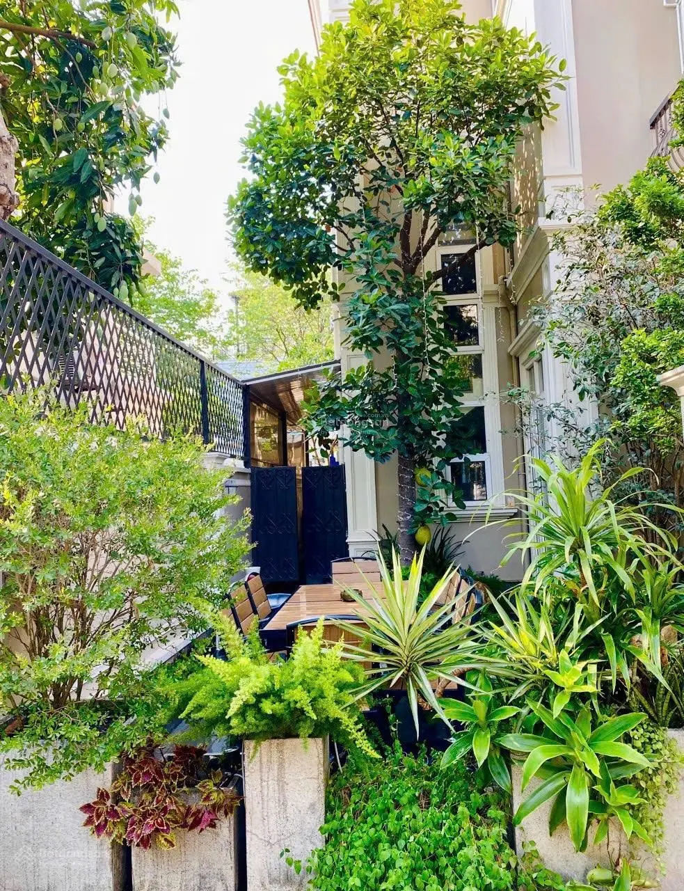 Bán căn BT đơn lập Compound 210m2 giá 46,5 tỷ bao phí, sẵn sổ đỏ và nội thất