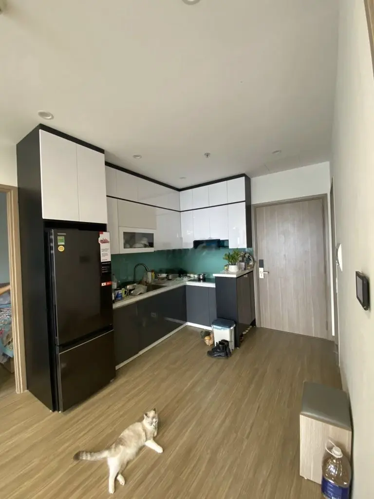 Chính chủ bán căn Full đồ-2 phòng ngủ 2 vệ sinh toà SA3 Smart City