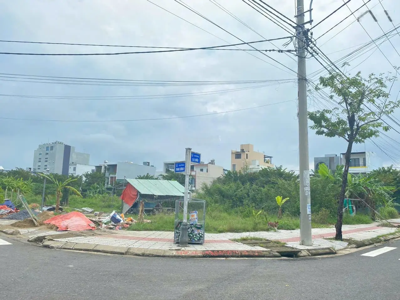 Bán góc la hối và thanh lương 9 ( đối diện công viên ) - hoà xuân .