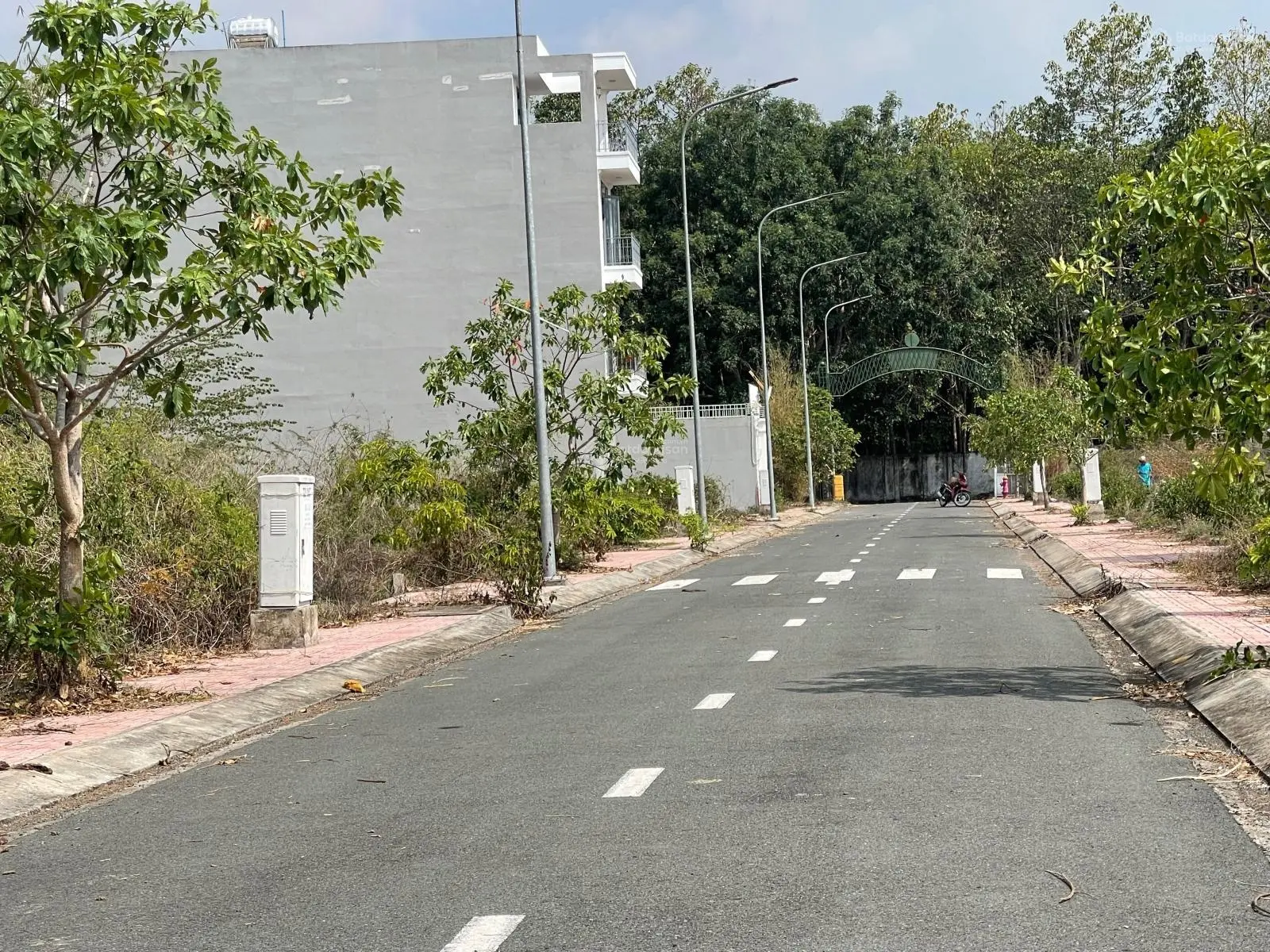 Tôi chính củ cần bán gấp (rẻ nhất khu vực)