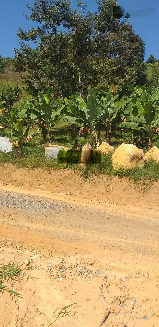 Bán đất gần UBND Lộc Thành, Bảo Lâm, Lâm Đồng