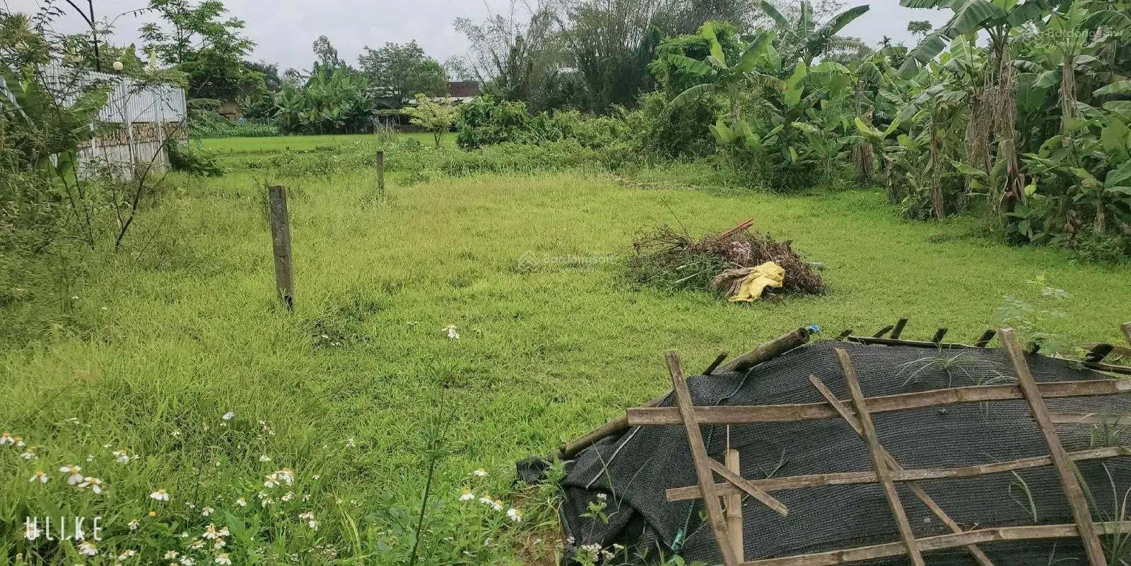 Bán đất view lúa và view núi rất đẹp, thoáng đãng - ven TP Đà Nẵng - Phù hợp để nghỉ dưỡng