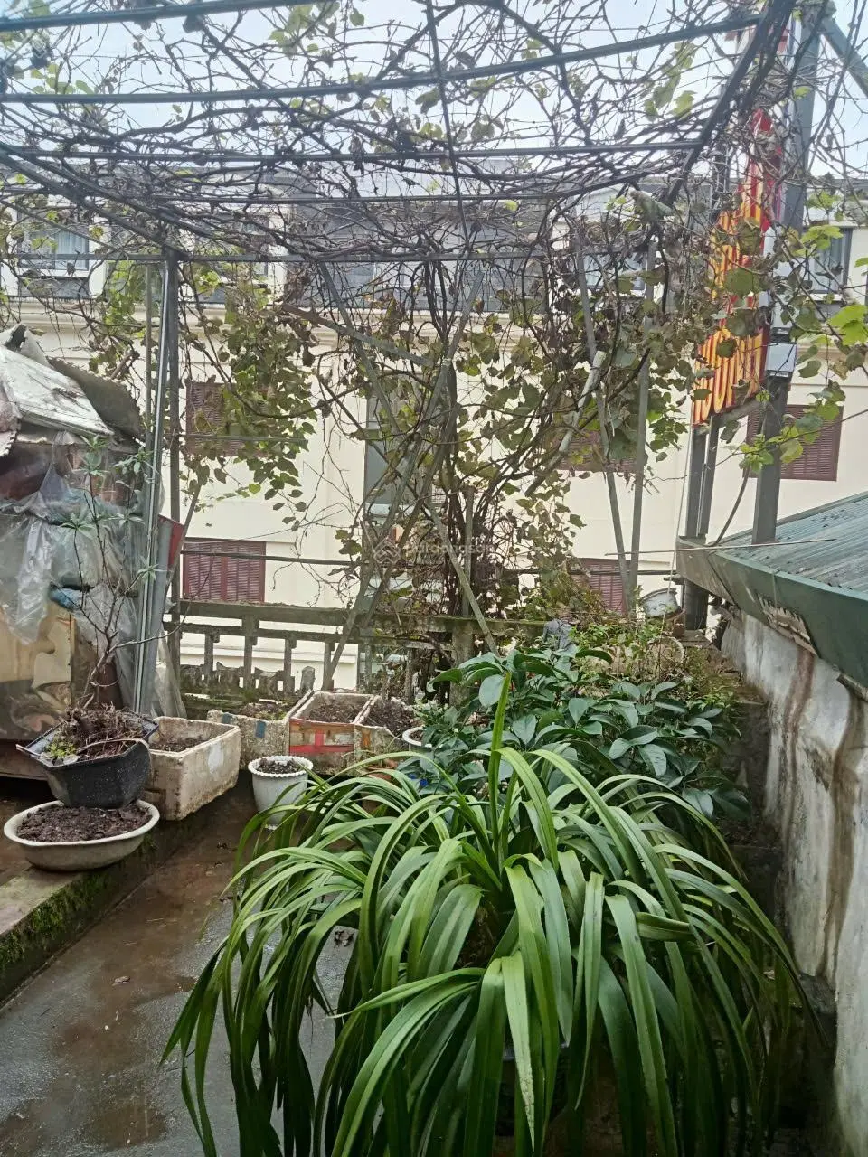 Bán nhà riêng hot tại đường Lê Văn Tám, giá sốc chỉ 15 tỷ, 100m2
