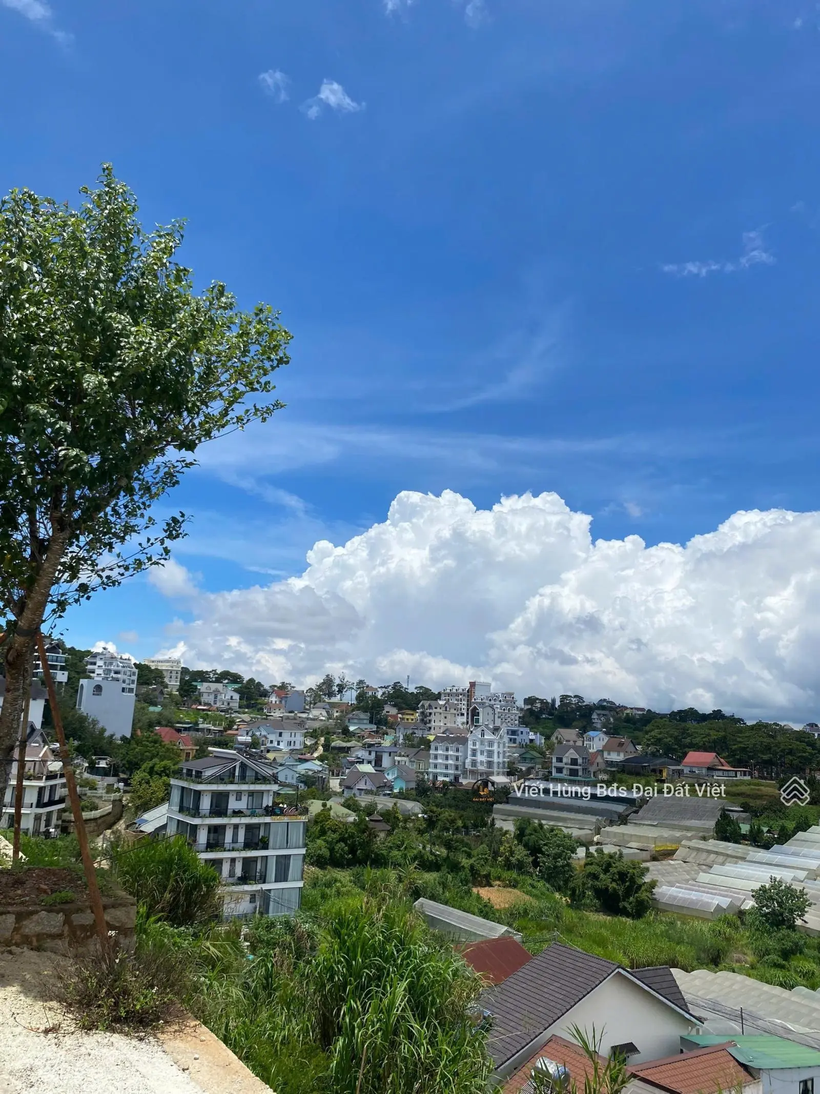 Sở Hữu Ngay Căn Villa Xịn Sò Ngay Trên Đỉnh Đồi View P.11