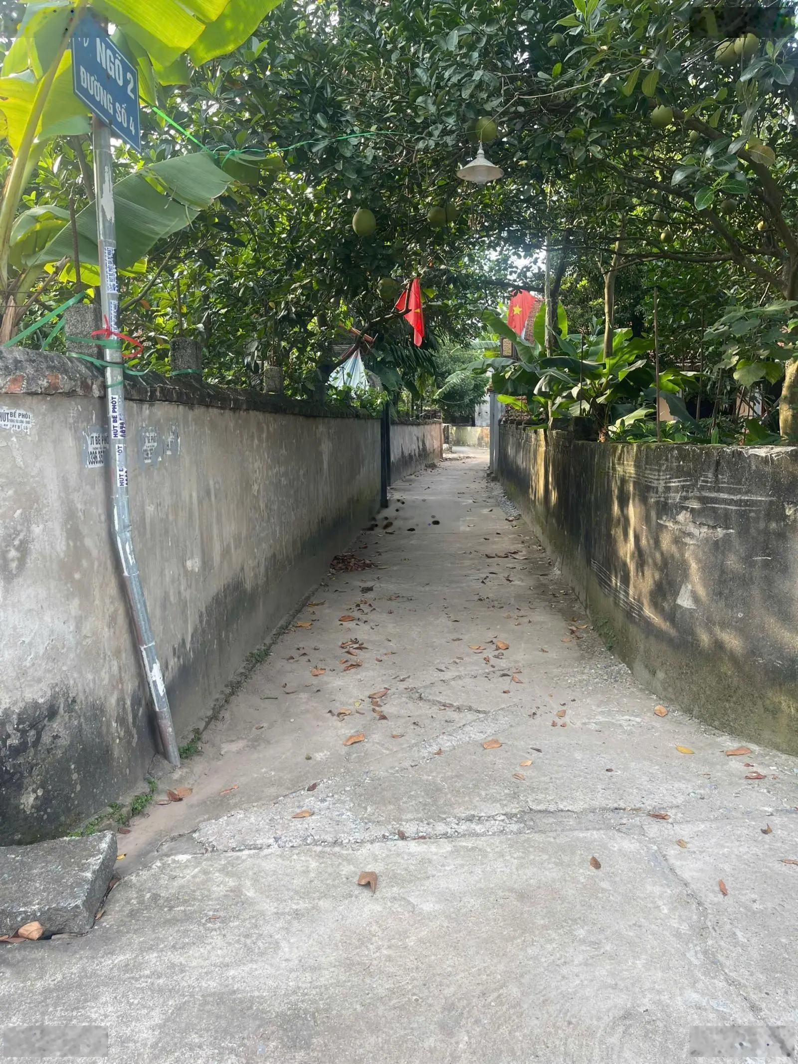 Chủ cần bán 73m2 Kim Bài giá đầu tư