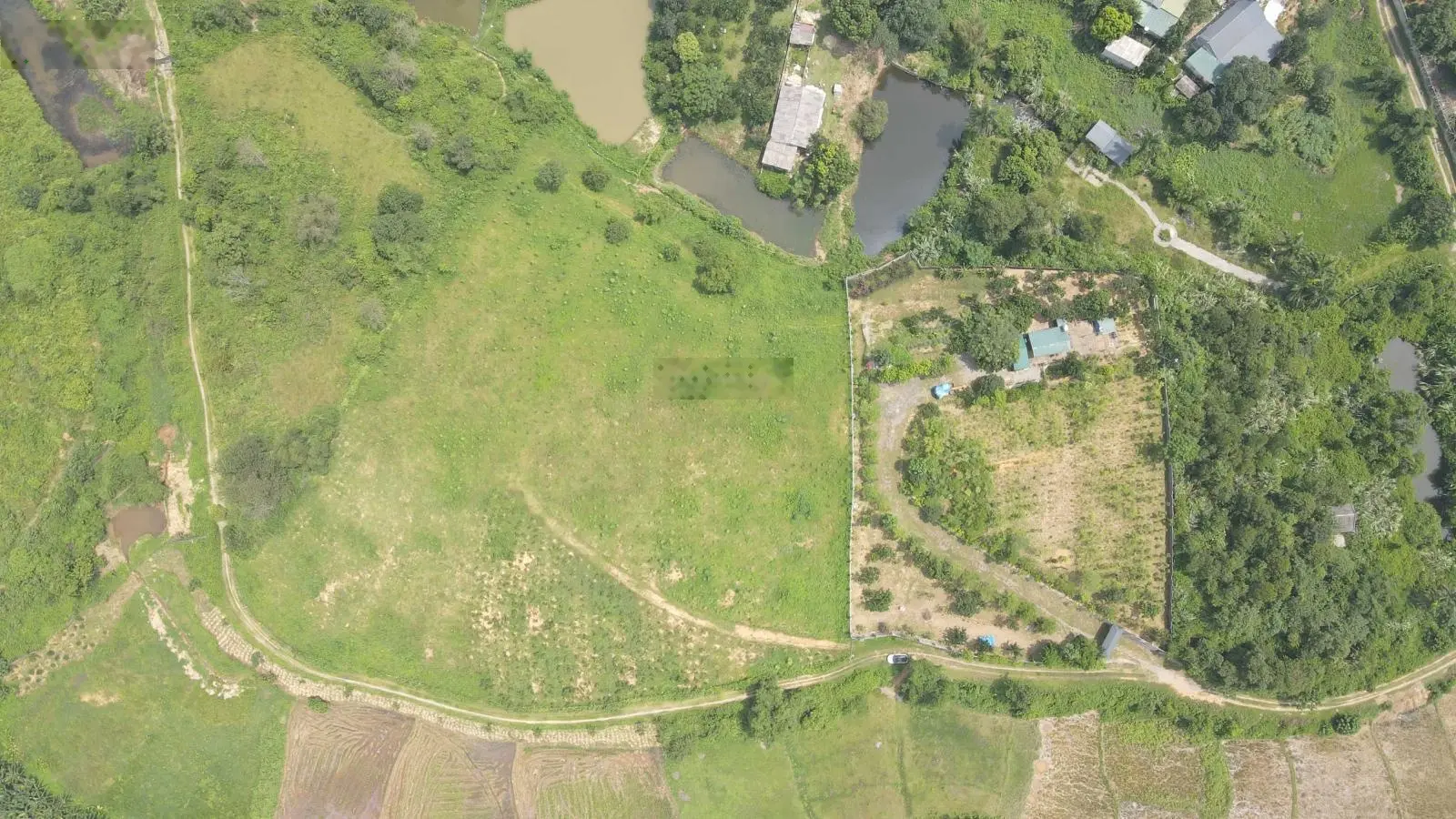 Bán 1.1ha trong đó có 400m2 đất thổ cư còn lại là đất trồng cây, vị trí cao thoáng tại Cư Yên