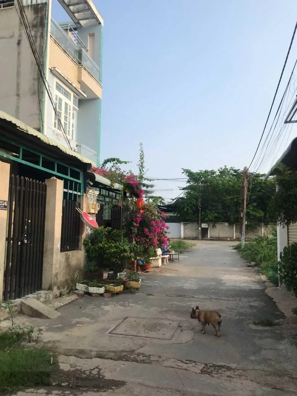 BÁN ĐẤT TP THỦ ĐỨC (QUẬN 9 CŨ) GẦN VINCITY, HẺM 6m, SHR, GIÁ 3,36TỶ/72m.