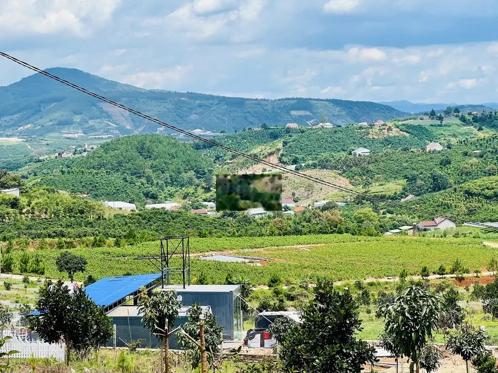 Đất nghỉ dưỡng cách Đà Lạt 28km view đồi thông săn mây