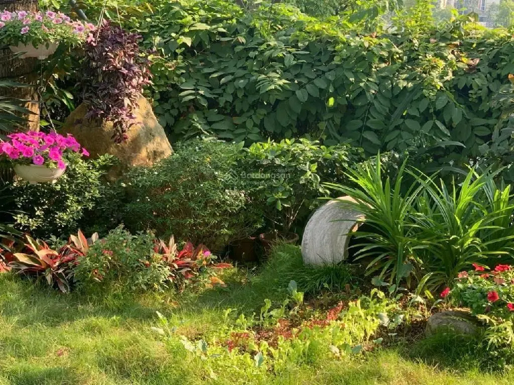 Biệt thự liền kề 267m2 - song lập - căn góc - khai sơn hill ngọc thụy long biên