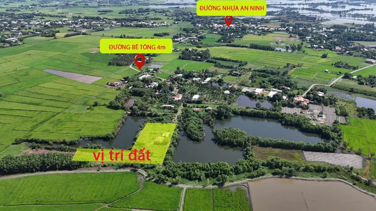 Siêu phẩm siêu rẻ: nhà vườn 5.000 m2...đang trồng ổi, dừa, sầu riêng Đức Hòa, Long An, giá ko tưởng
