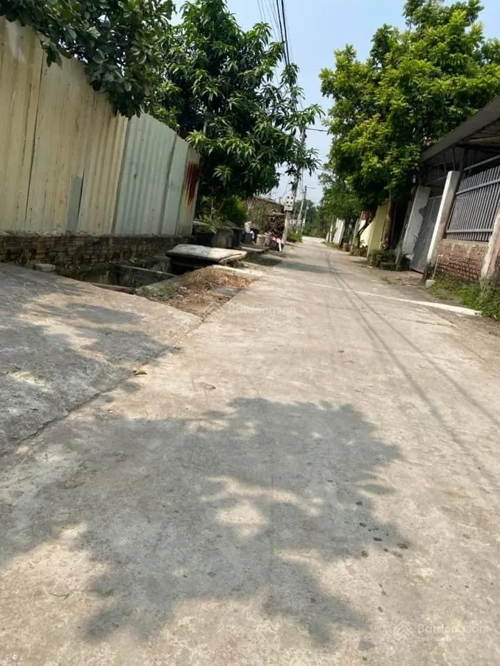 Bán 55m đất võng la đông anh đường ô tô vào gần cầu thăng long giá 3tỷ( có tl)