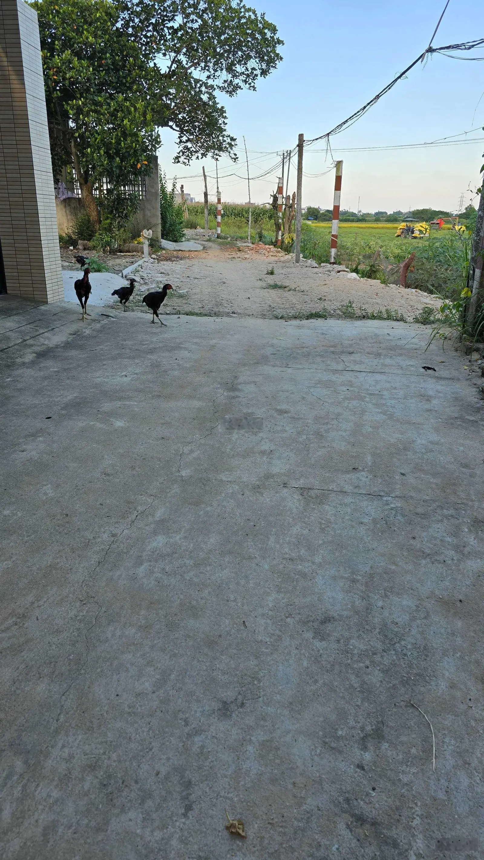 Bán đất hẻm Trường Chinh, cạnh trước Quốc Tế