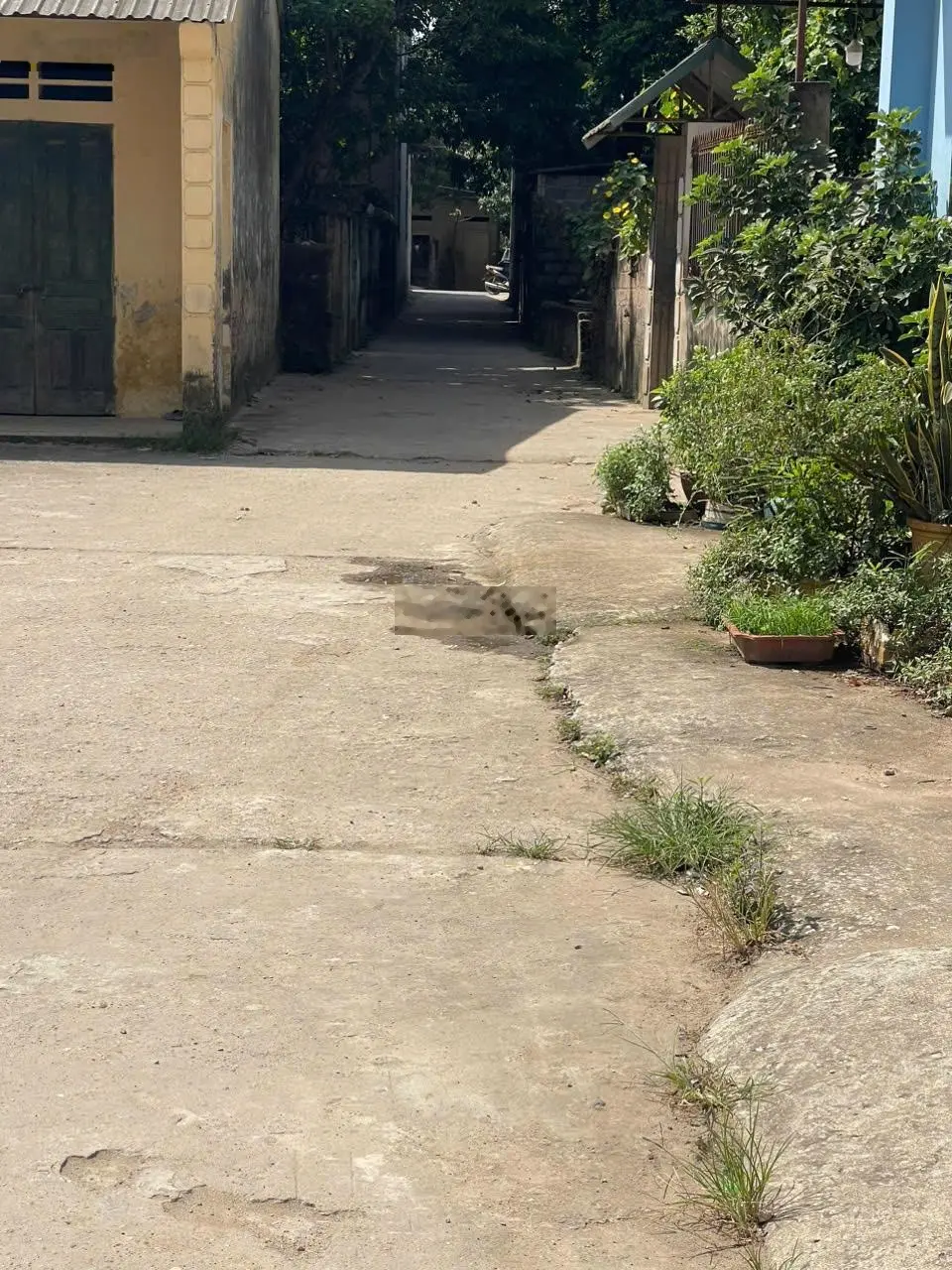 Chưa tới 3 tỷ có ngay 48m Đất Phượng Đồng, oto đỗ cửa, cách trục liên xã 60m