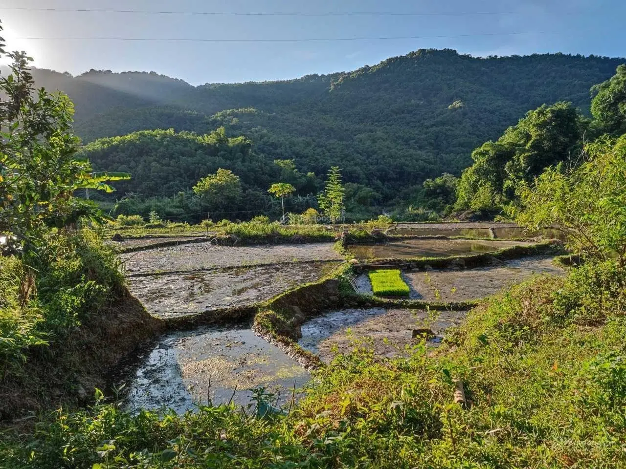 Cần bán 2,7ha bám đường to tại Kim Bôi, Hòa Bình