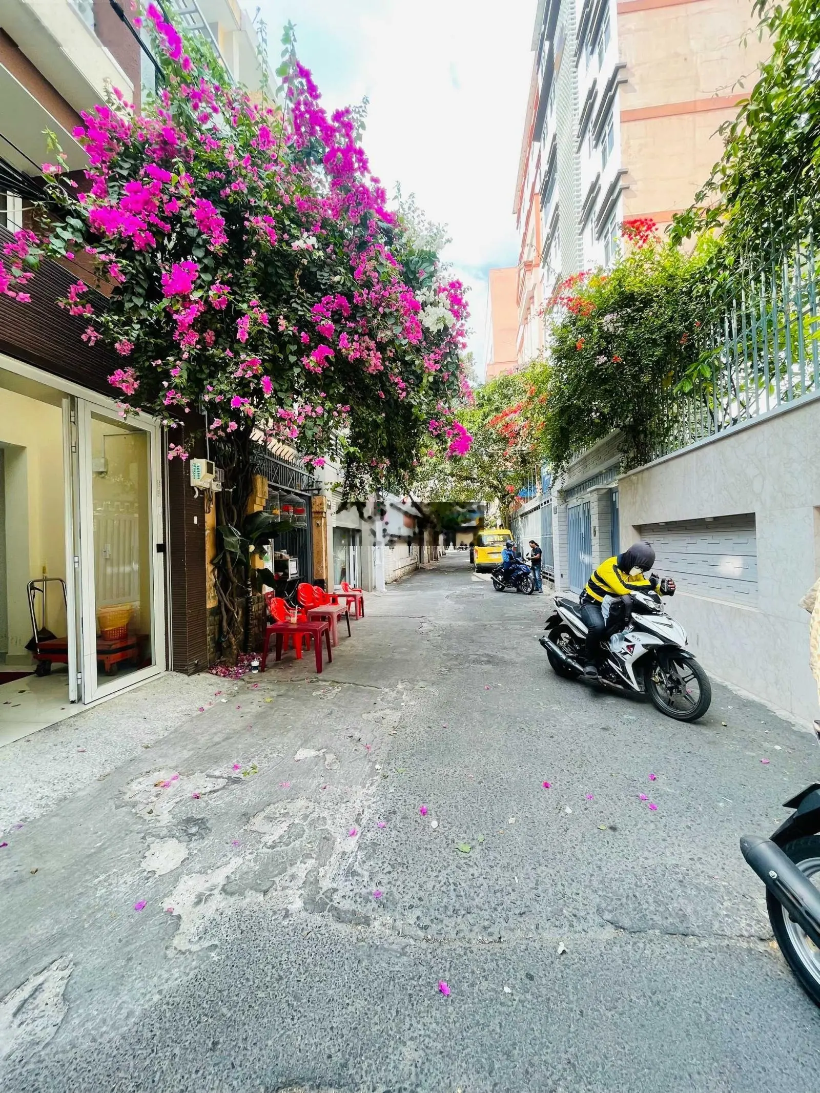 Chính chủ bán biệt thự hẻm 305 Nguyễn Trọng Tuyển (P10, Q. PN) ngang 13mx 17 CN 195m2 giá 39 tỷ