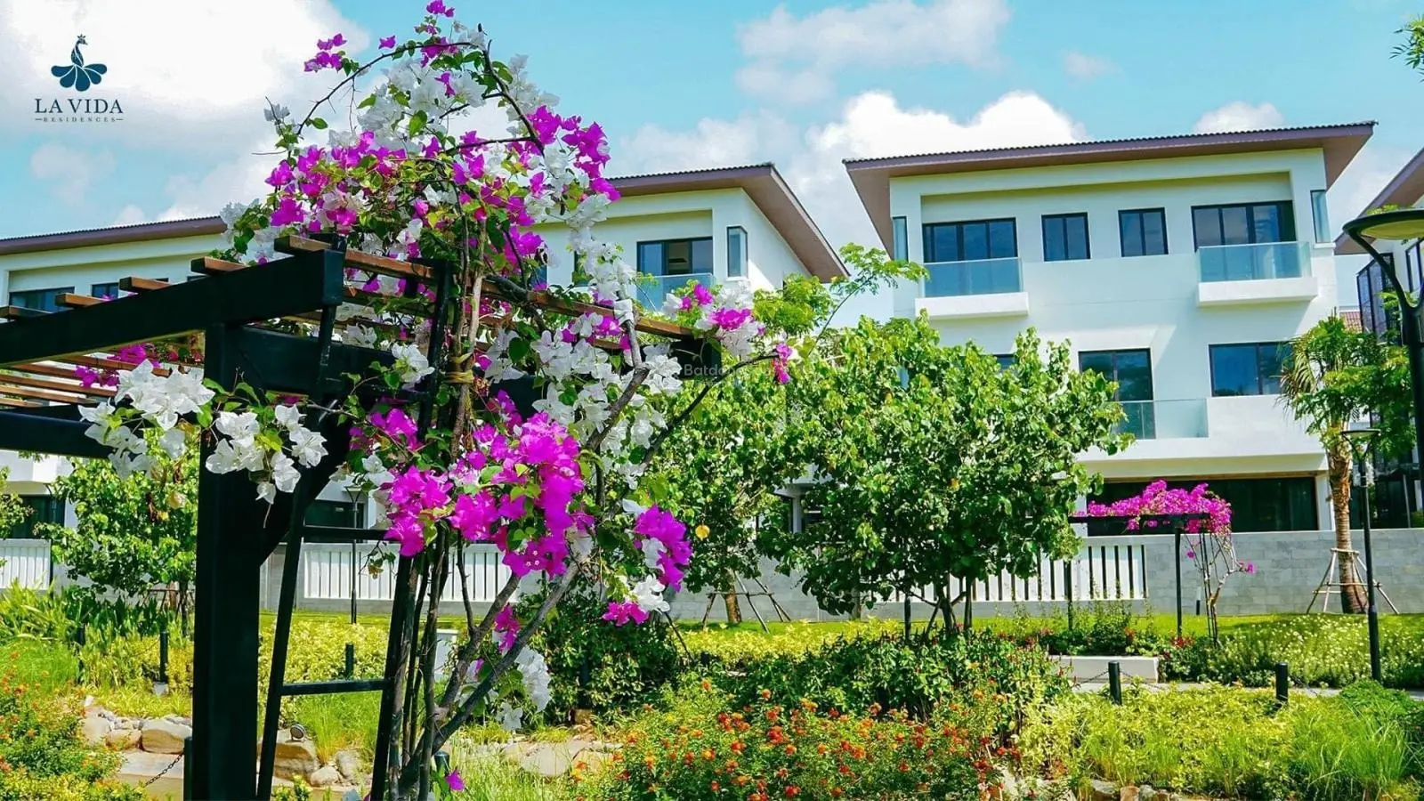 Cập nhật hàng ngộp lỗ nhà phố, biệt thự giá tốt nhất dự án La Vida Residences Vũng Tàu