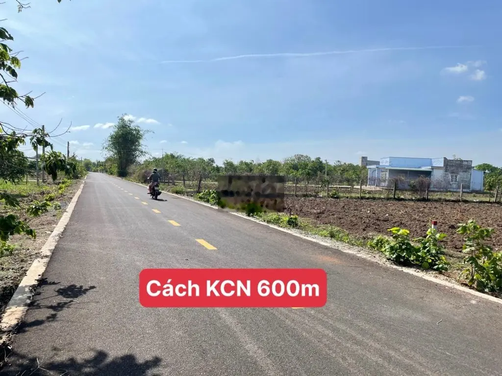 BÁN GẦN SÀO ĐẤT MT ĐƯỜNG NHỰA PHẠM DUY TRINH - ĐẤT ĐỎ GIÁ 1,85 TỶ