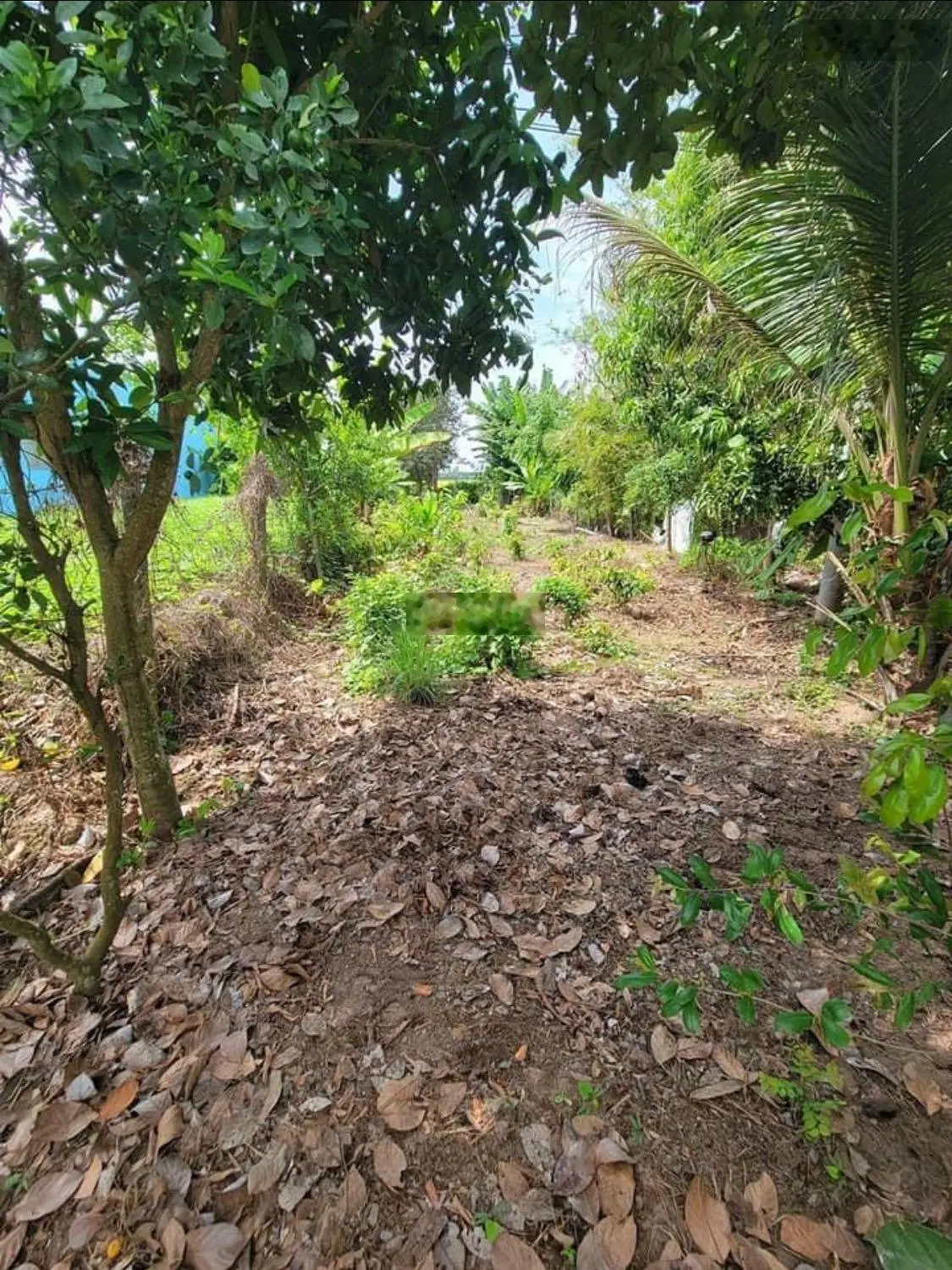 Loa loa bán đất vườn 1080m2 sổ hồng bao sang tên