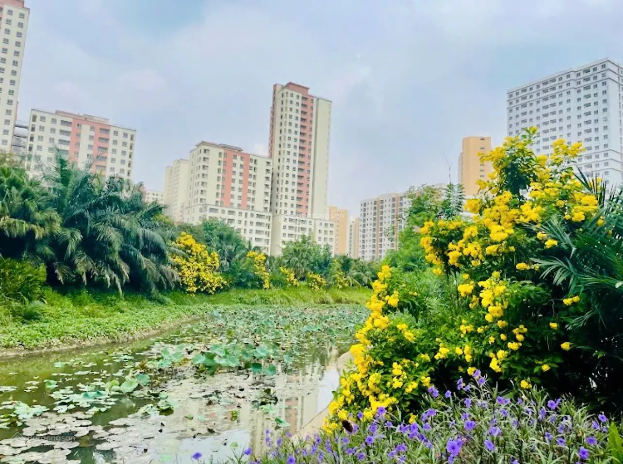 Bán đất TĐC Bình Khánh 1,8ha - Đường Bạch Đông Ôn - DT: 60m2, 70m2, 250m2 - Sổ hồng cá nhân