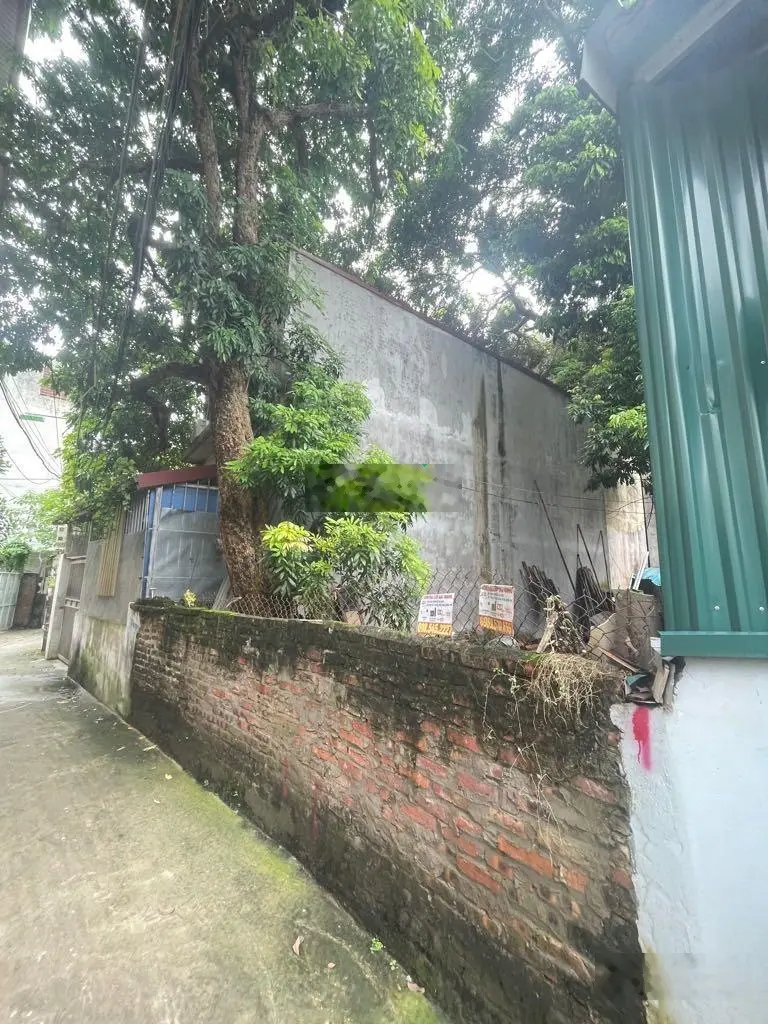 Bán giúp ông anh hàng xóm mảnh đất Yên Nội. 78m2, giá chỉ 3,8 tỷ