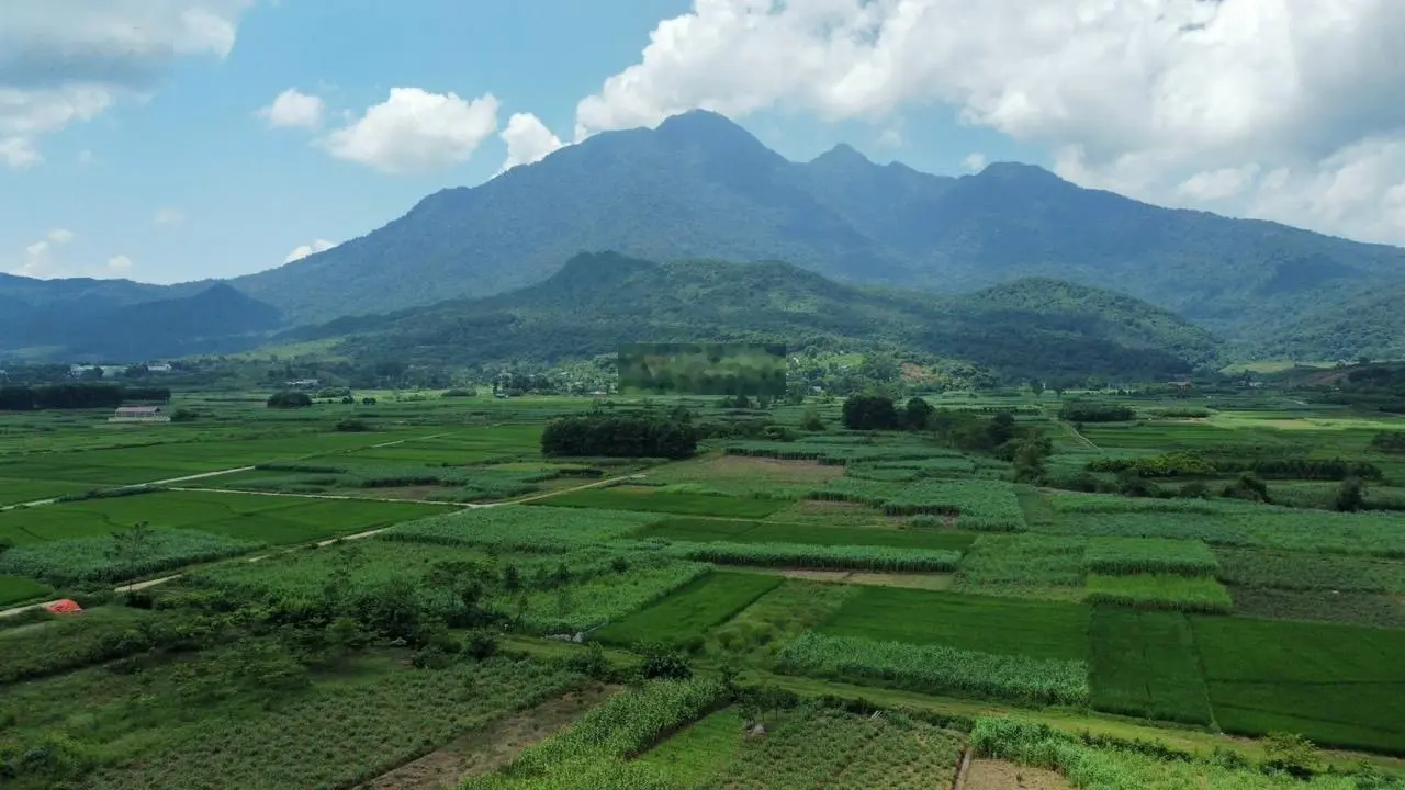 Cần chuyển nhượng 4250m2 có 800m2 thổ cư tại Vân Hoà, Ba Vì, Hà Nội