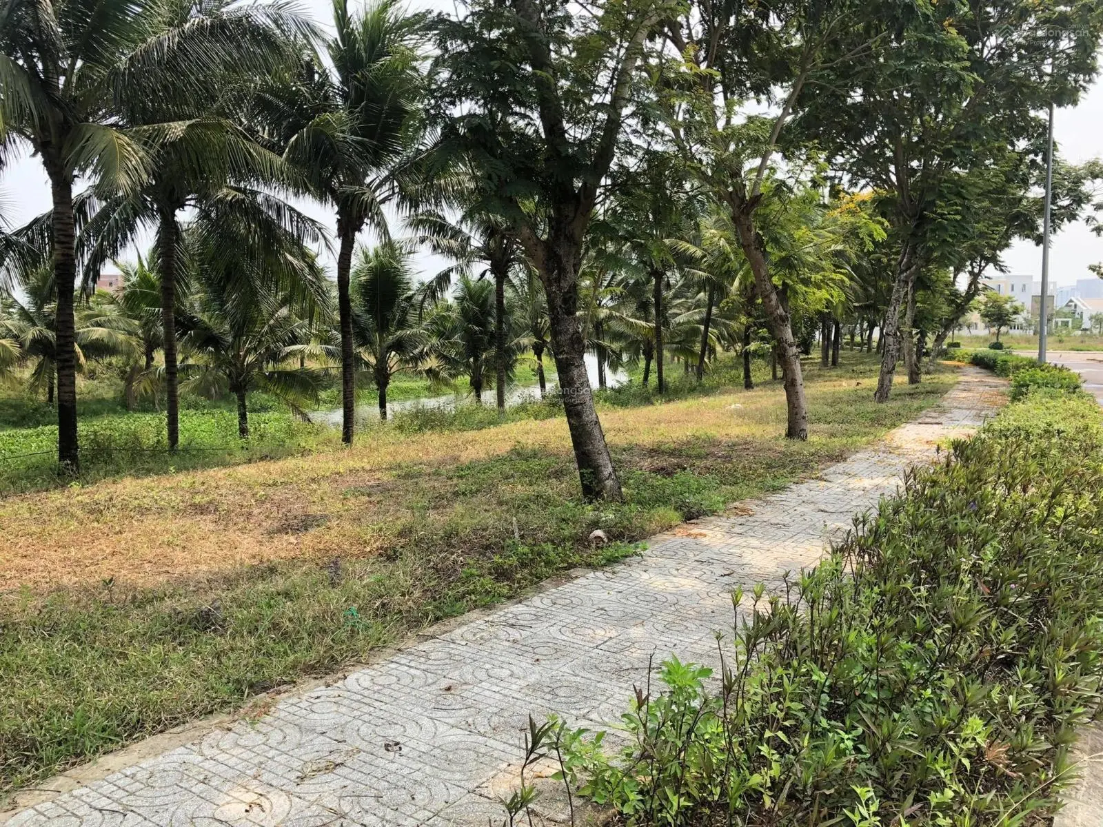 Đất biệt thự FPT Đà Nẵng, View kênh sông Cổ Cò, 2 mặt tiền, giá chỉ 29,5 triệu/m2, 600m2