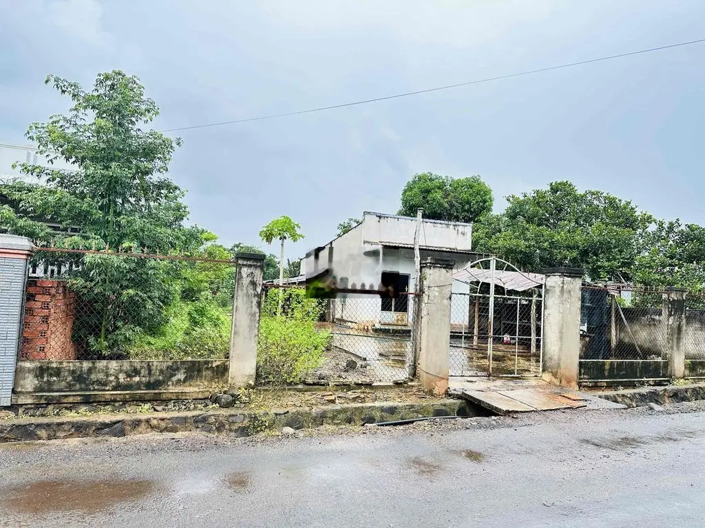 Bán 3400 m2 đất xuyên mộc BRVT