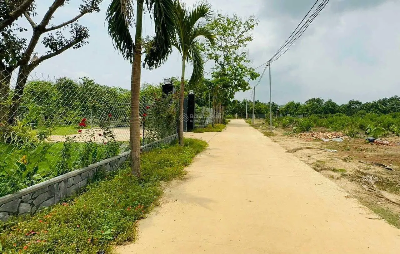 Chủ kẹt vốn trả ngân hàng bán gấp vườn tâm huyết diện tích 10,882m2 đã có sẵn 100m2 thổ cư
