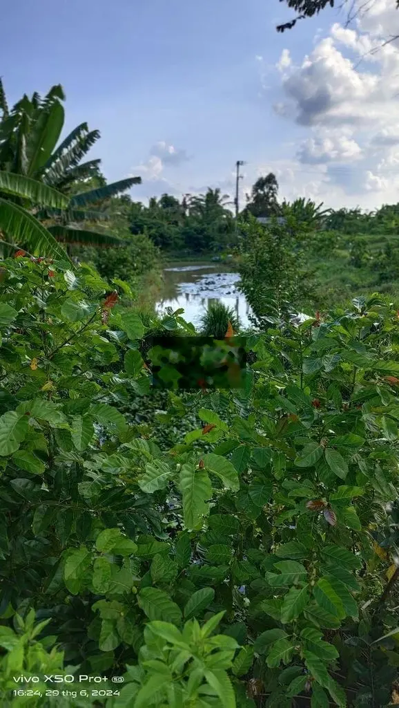 Cần bán đất Vĩnh Thạnh