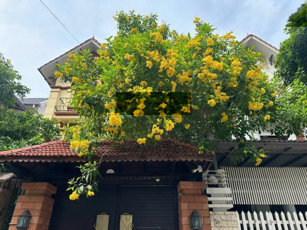 Bán nhà phân lô phố Nguyễn Chánh, Trung Hoà, Cầu Giấy. Căn góc 2 thoáng, vỉa hè, ô tô tránh nhau