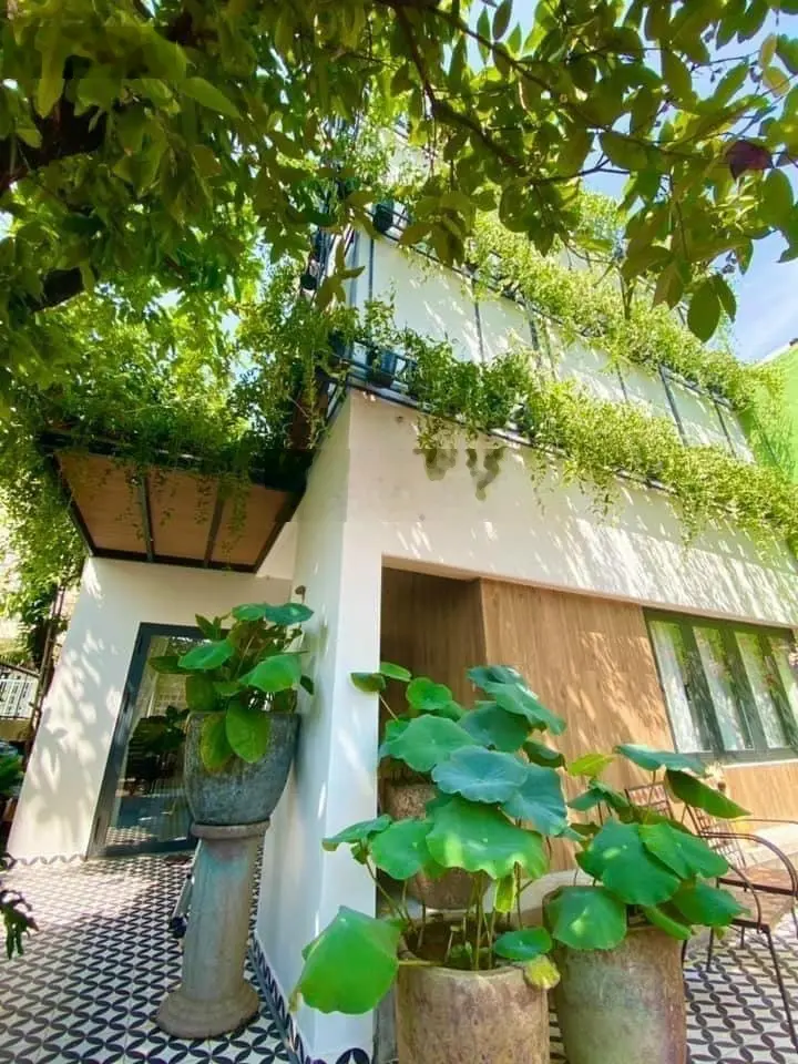Bán biệt thự sân vườn kiểu Châu Âu - ngang 8m 200m2 đường 138, P. Tân Phú, TP. Thủ Đức (Q9)