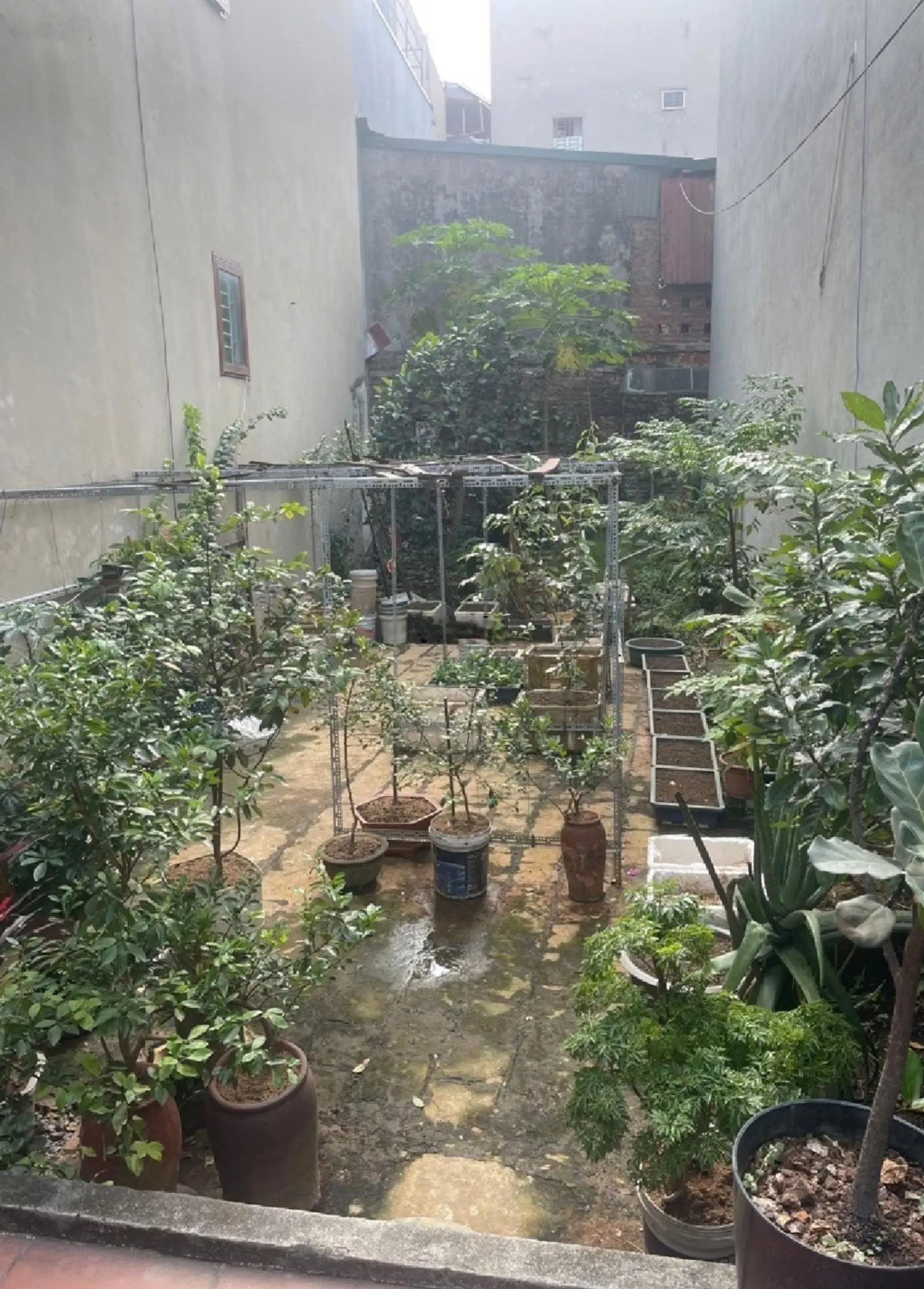 Đất hiếm Đường Tu Hoàng 75m2 ,mặt tiền 5m ,vị trí đắc địa, ngõ thông, oto đỗ cổng, giá nhỉnh 7 tỷ
