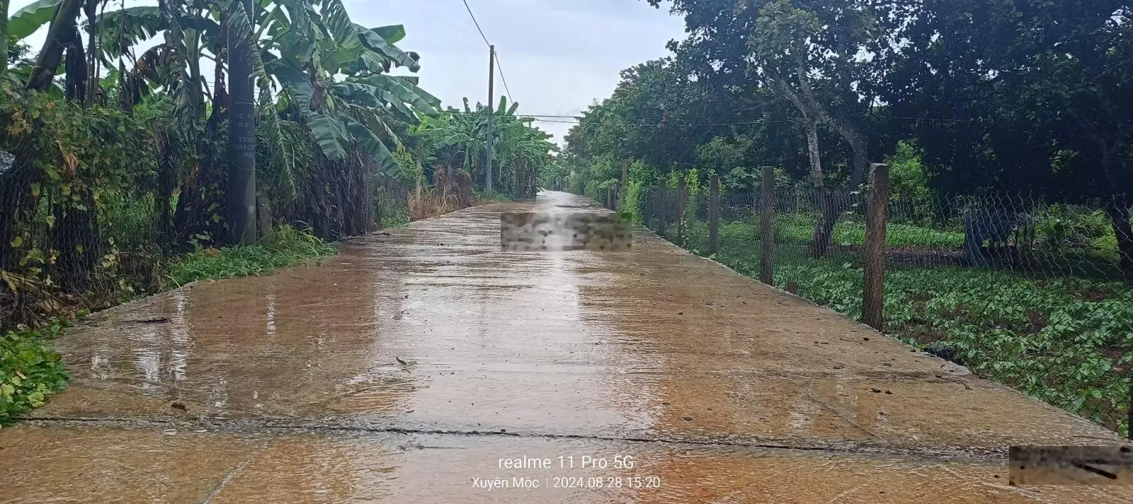 Đất xã Xuyên Mộc H Xuyên Mộc BRVT, cách chợ 1km, cách Phước Bửu 2,5km