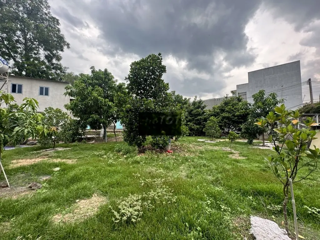 Cần bán miếng đất trang trại đang làm vườn có 7 căn nhà liền kề giá rẻ