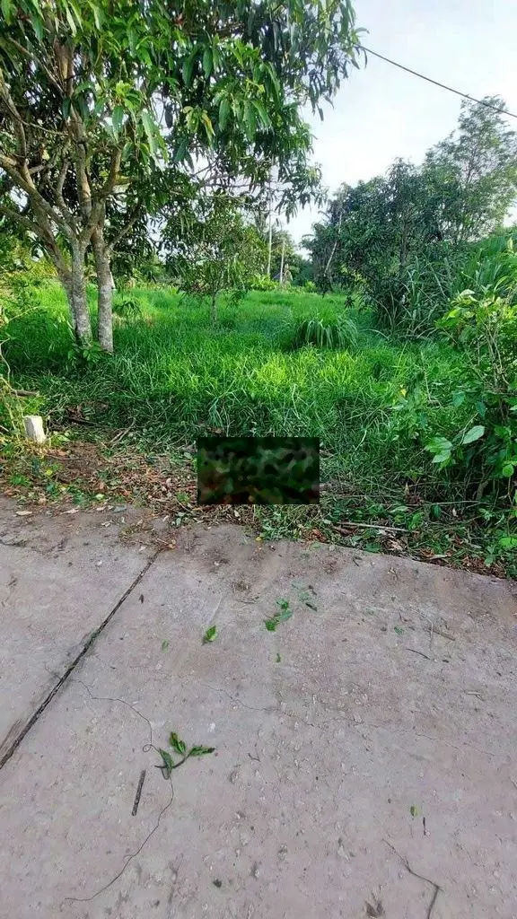 Nền Lộ Đal Mỹ Tú Giáp Ranh Phường 2 Sóc Trăng