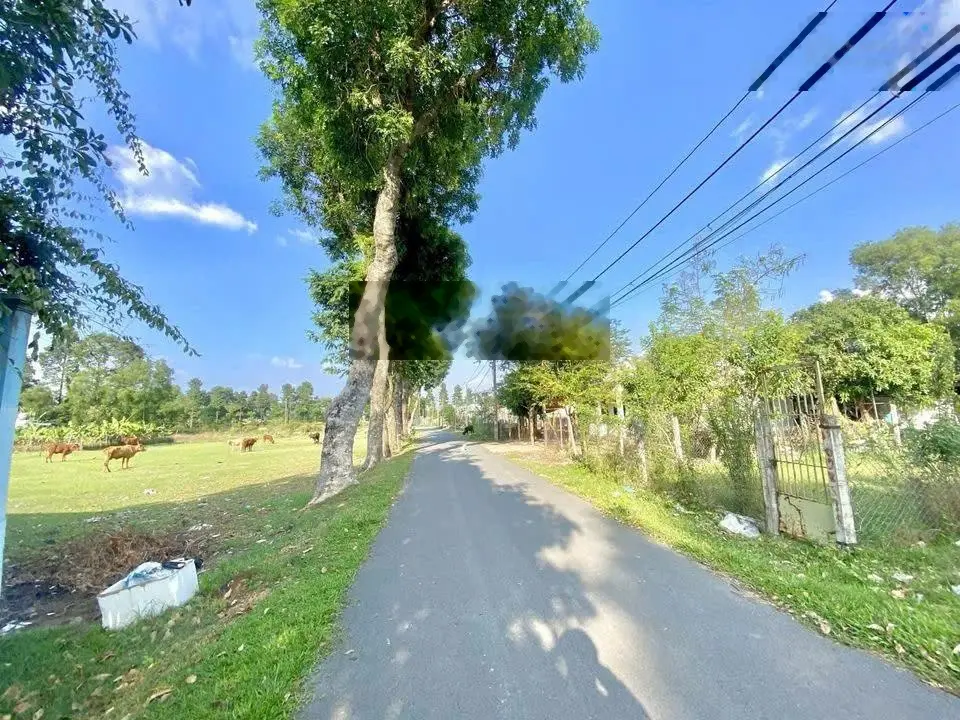 Tôi chính chủ cần bán 119m2 đất thổ cư giá đầu tư ngay thị xã Trảng Bàng cách chợ 1km2. Giá 680tr