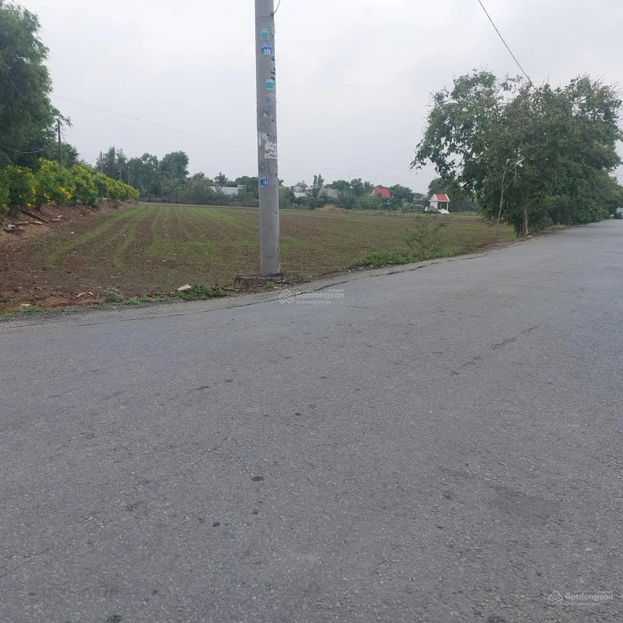 Bán 5000m2 đất vườn dân cư xây mới MT Phạm Tấn Mười Qui Đức, Bình Chánh giá 6,4tr/m2 thương lượng